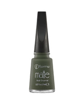 Load image into Gallery viewer, Matte nail ENAMEL